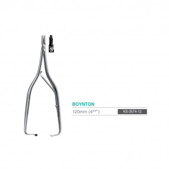 BOYNTON