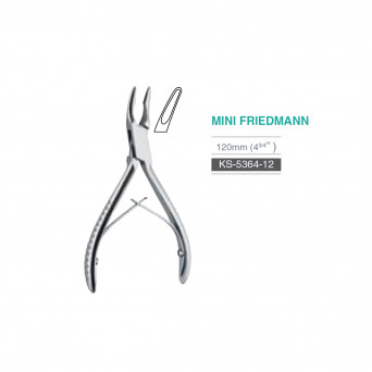 MINI-FRIEDMANN