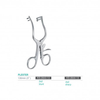 PLESTER