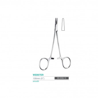 WEBSTER