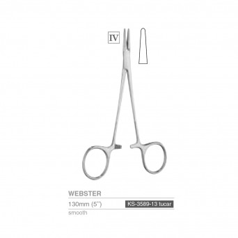 WEBSTER