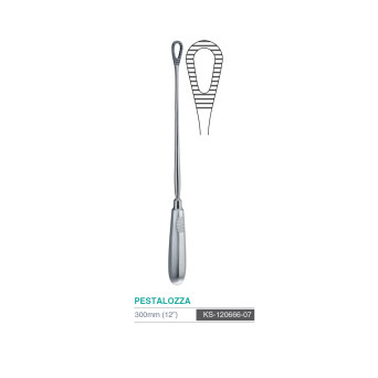 PESTALOZZA